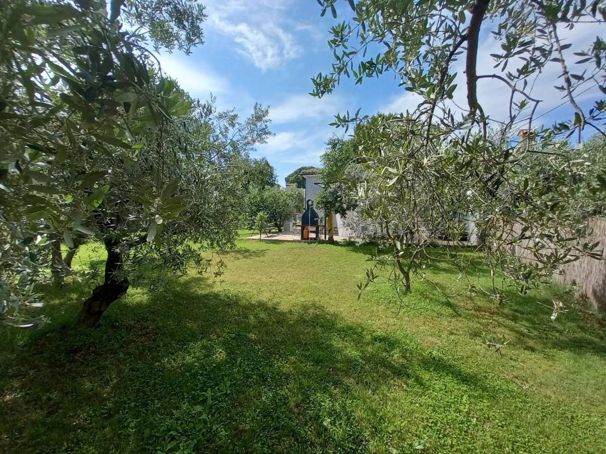 Holiday House Chill Out Loborika Marčana Eksteriør bilde